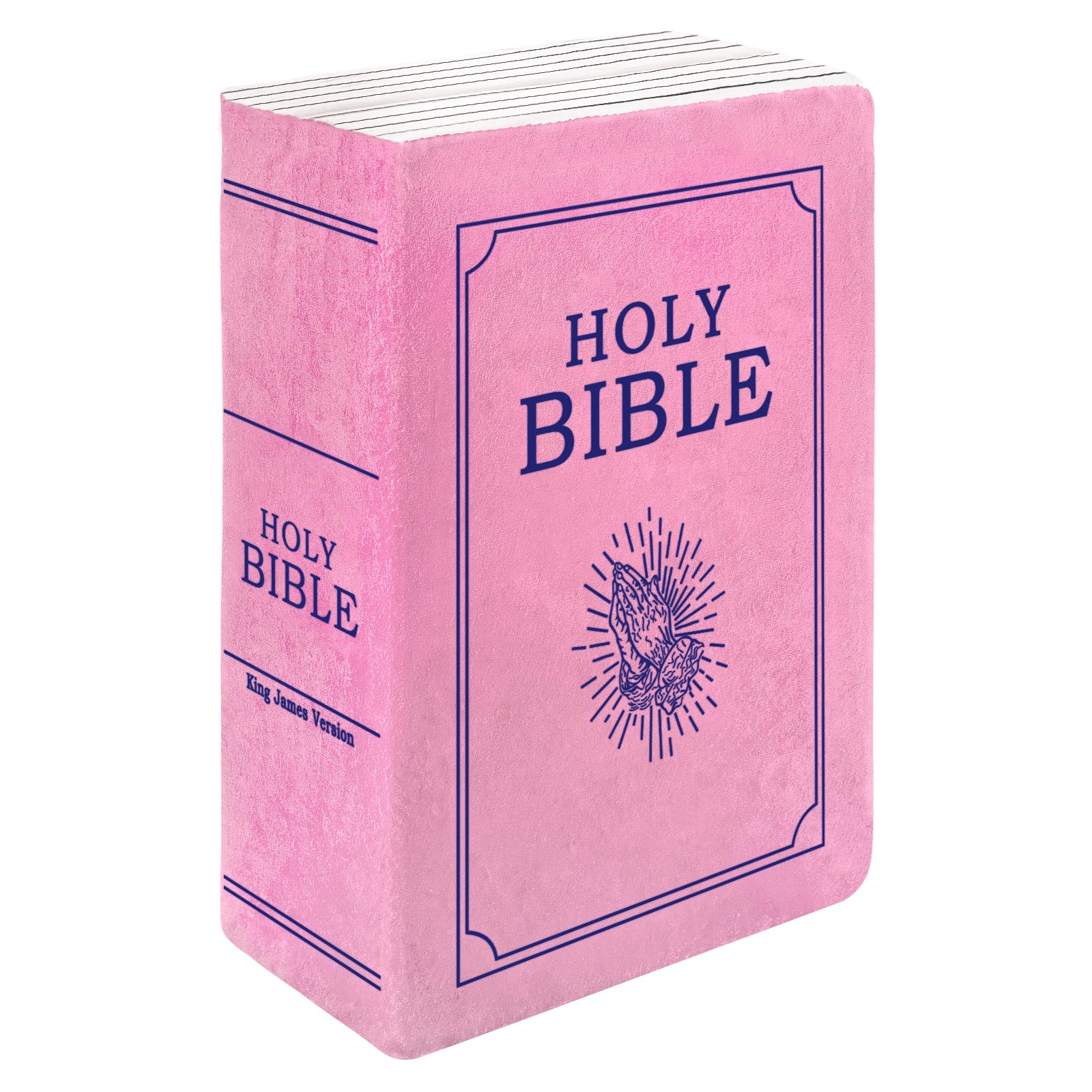 John 3 Pink Cutest Bible Memory Foam Pillow with Bible Throw Pillow Learn the valuable lesson Learn the valuable lesson - Image #0