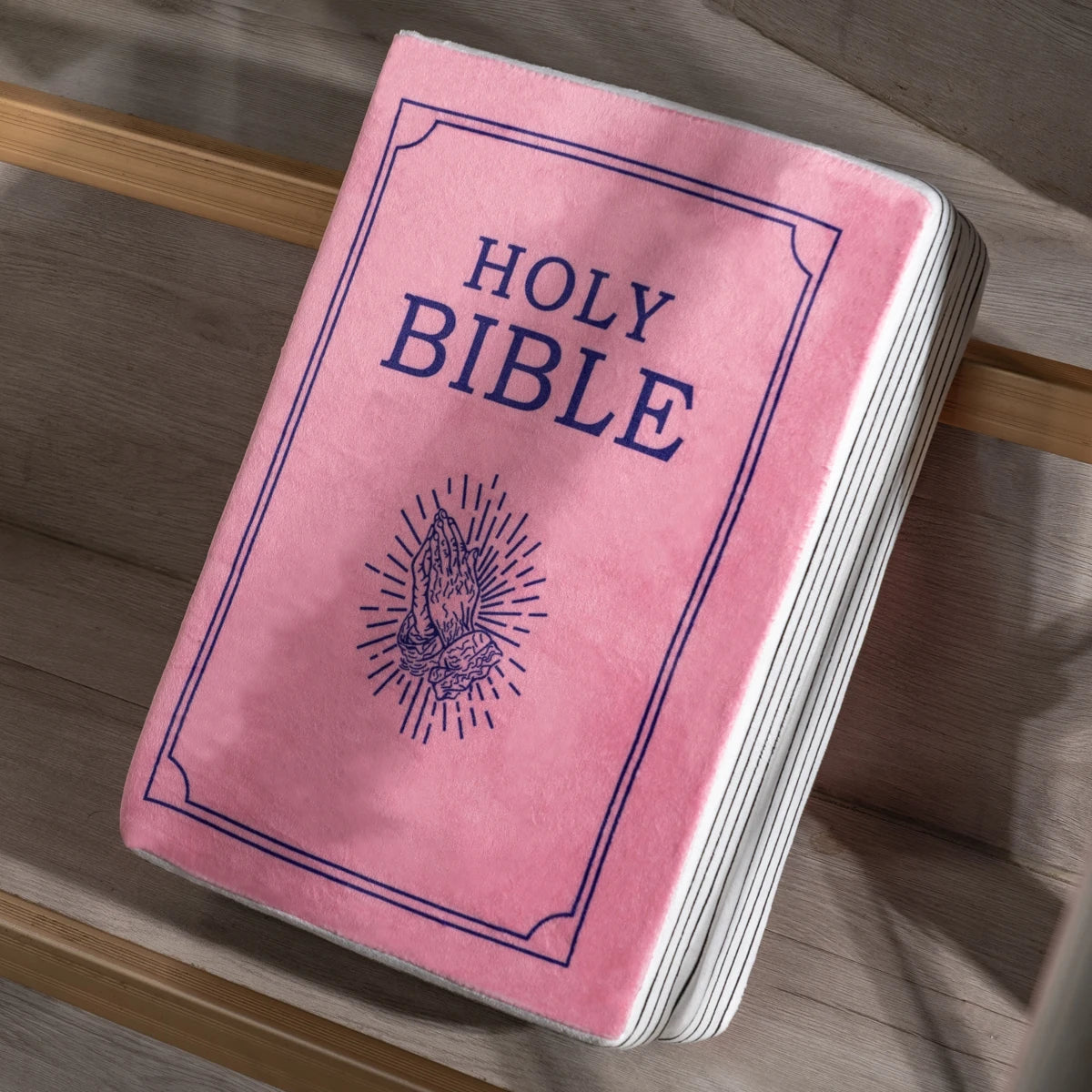 John 3 Pink Cutest Bible Memory Foam Pillow with Bible Throw Pillow Learn the valuable lesson Learn the valuable lesson - Image #0
