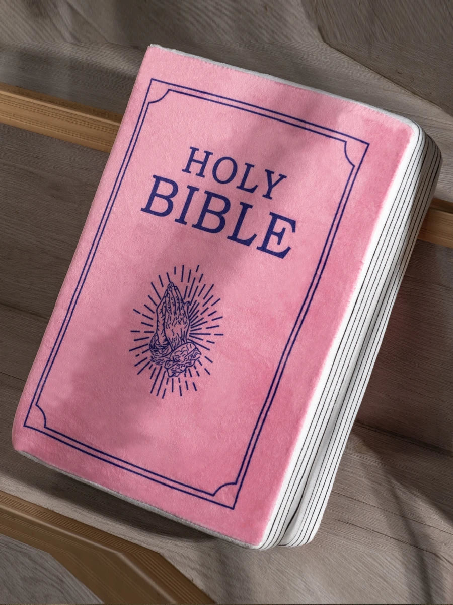 John 3 Pink Cutest Bible Memory Foam Pillow with Bible Throw Pillow Learn the valuable lesson Learn the valuable lesson - Image #0